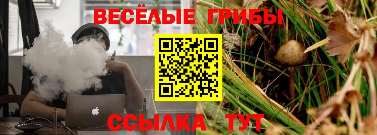 Ярославль  даркнет сайт  Вход с VPN  Псилоцибиновые грибы Cubensis 